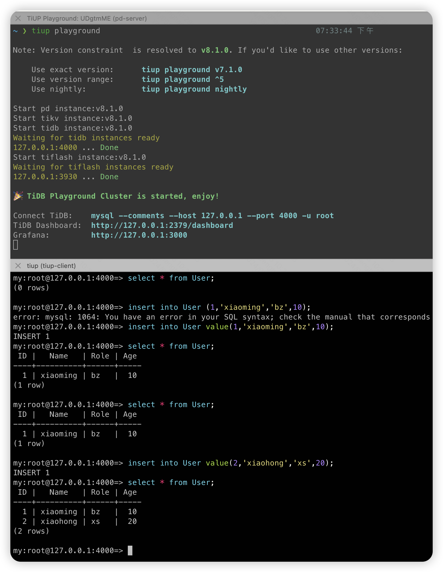 image-20240526102902064.png
